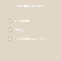 Vitamine C Liposomale 1000 mg